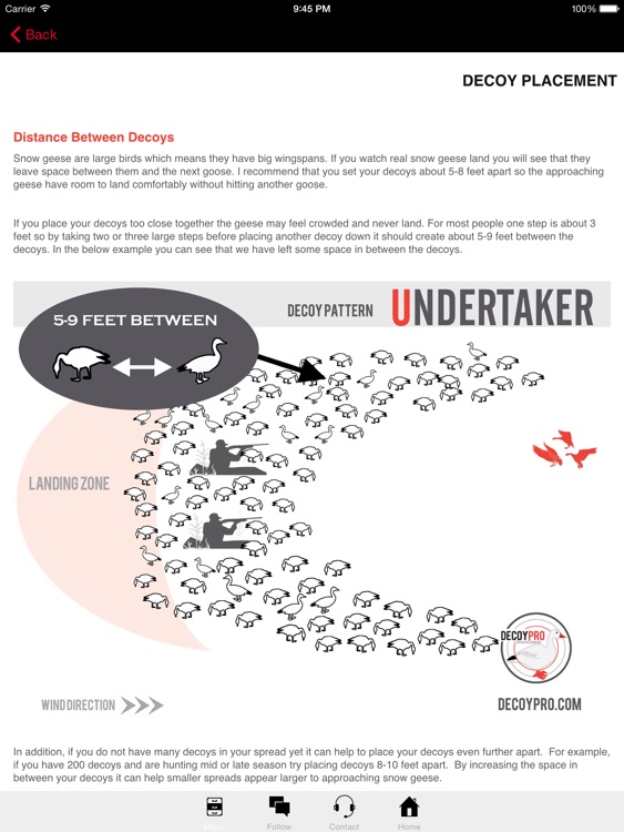 Snow Goose Decoy Spreads Hunting Diagrams Geese