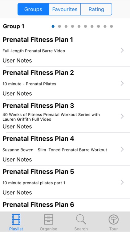 Prenatal Fitness Plan