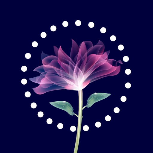 Flower Live Wallpapers - Animated Moving Backgrounds by Jitesh S