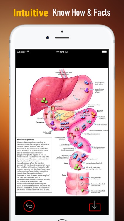 Gastroenterology Terminology and Flashcard: Study Guide and Courses