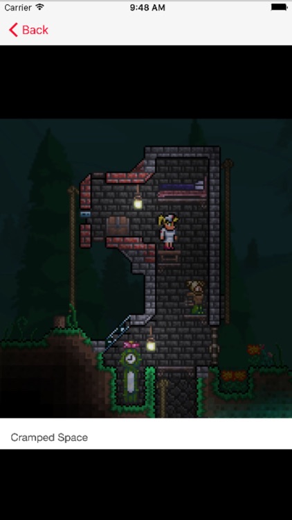 Multiplayer PvP for Terraria screenshot-3