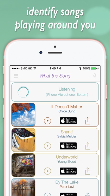 What the Song: know that playing music instantly!