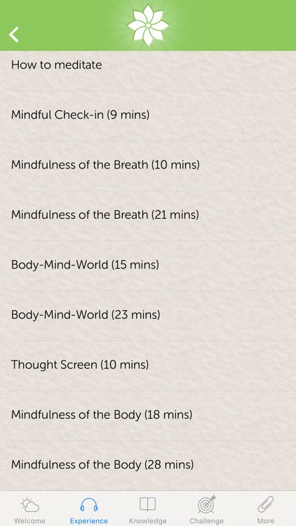 Mindfulness: The Art of Being Human