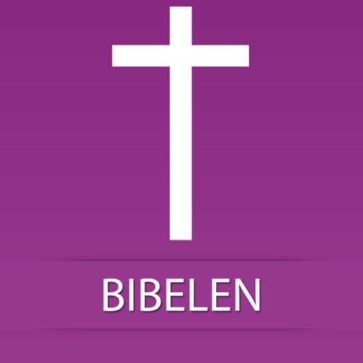 Norwegian Bible Icon