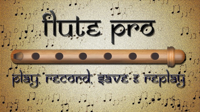 Flute Pro