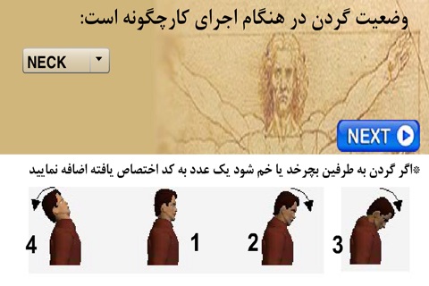 HSE.Ergo.RULA(Persian) screenshot 2
