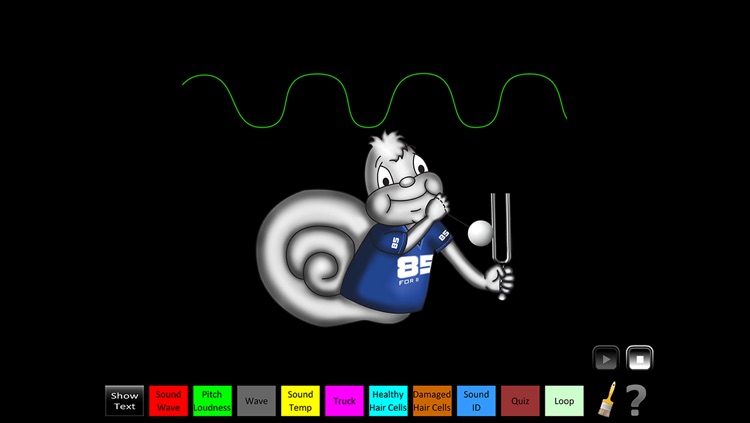 Hearing Sound