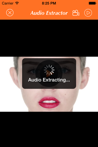Audio Extractor screenshot 4