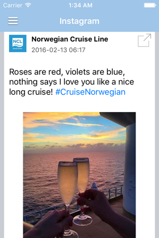 Cruise Ship & Port News Lite - náhled