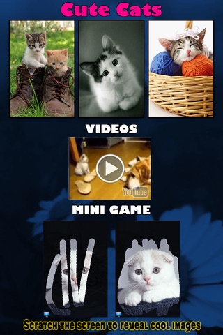A Cat Game for Kids - Playing cool best Hidden Pics game - Not a Dogs game but an app for Cat Lover screenshot 2