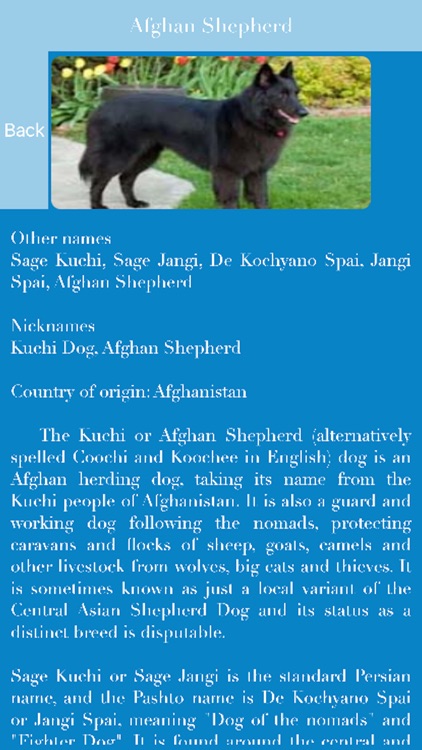 Dogs Pedia