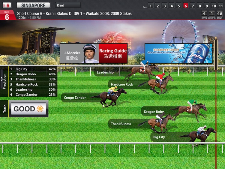 Racing Guide Fast Form Predictor for iPad