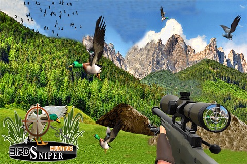 Birds Sniper Hunting 2016 screenshot 3