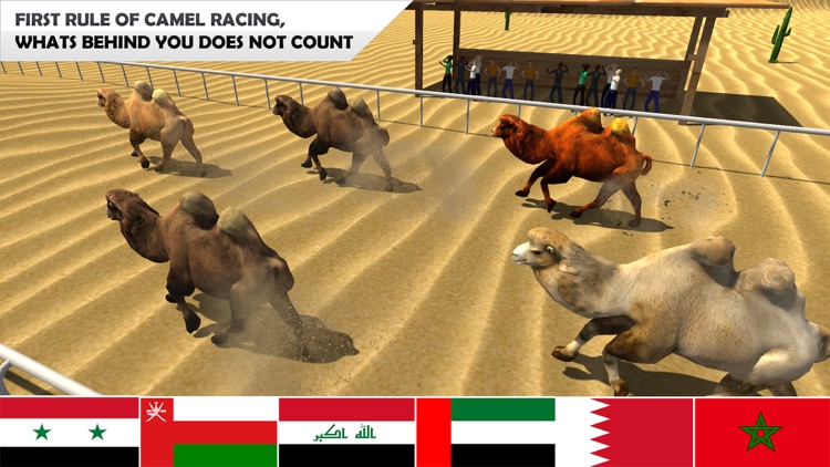 Real Camel Simulator 3d: Horse Racing game & wild animals games screenshot-3