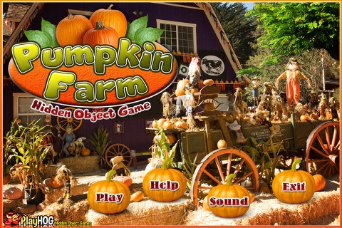 Pumpkin Farm Hidden Objects screenshot 3