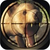 Real Wild Stray Bear Hunt Simulator - Real Forest Hunts-Man Challenge