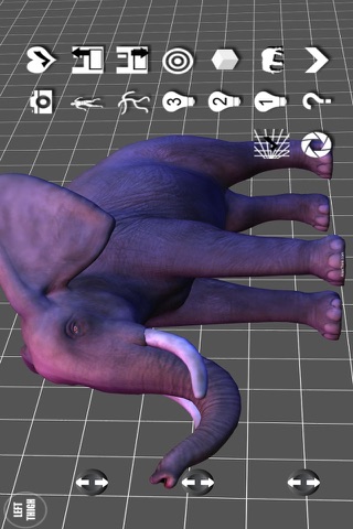 Elephant Pose Tool 3D screenshot 4