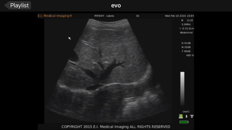 E.I. Medical Imaging