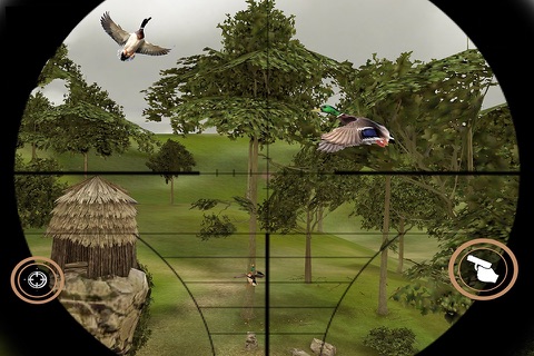 Birds Hunting 2016 screenshot 3