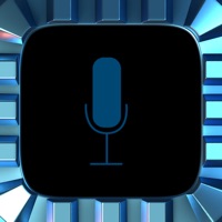 보이스체인지 미