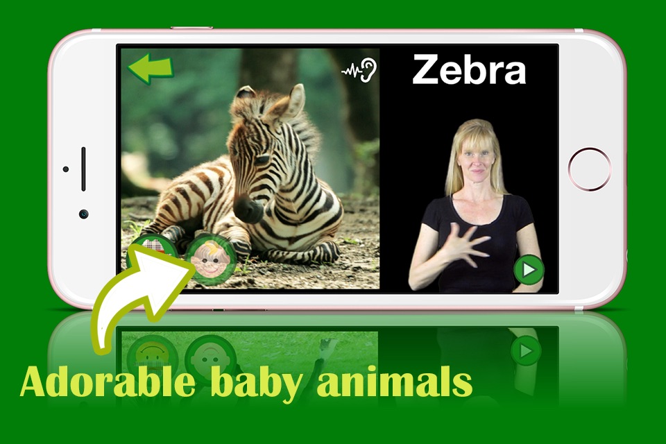 ASL Animals screenshot 3