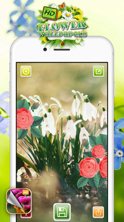 HD Flower Wallpaper.s – Beautiful Floral Themes and Custom Lock Sreen Background.s screenshot-3