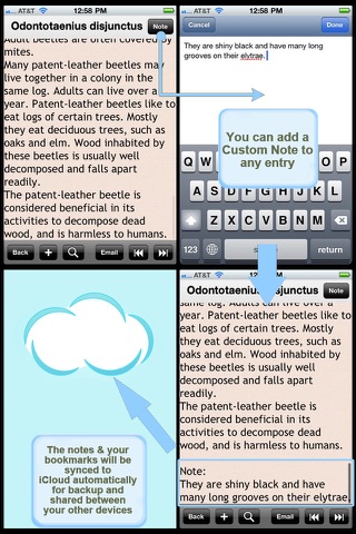 The Beetles Encyclopedia screenshot 4