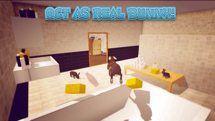 Bunny Simulator