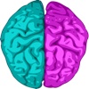 Brain Color