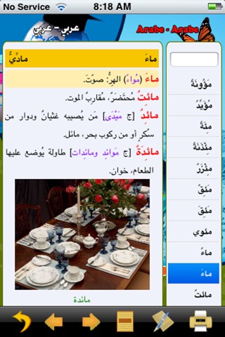 Digital French Arab Dictionary screenshot 2