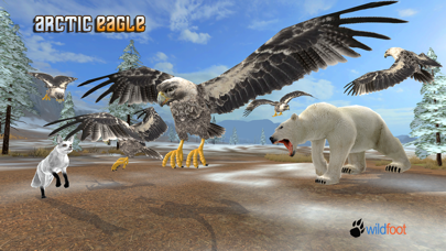 How to cancel & delete Arctic Eagle from iphone & ipad 1