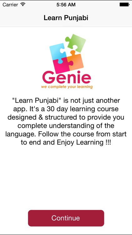 Learn Punjabi (Full Version) screenshot-4