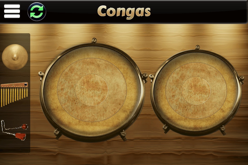 Garage Virtual Congas & Bongos screenshot 3