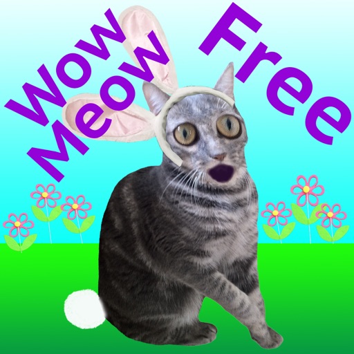 Wow Meow Bunny Cat - Free iOS App