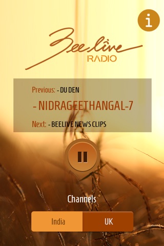 Beelive Radio screenshot 2