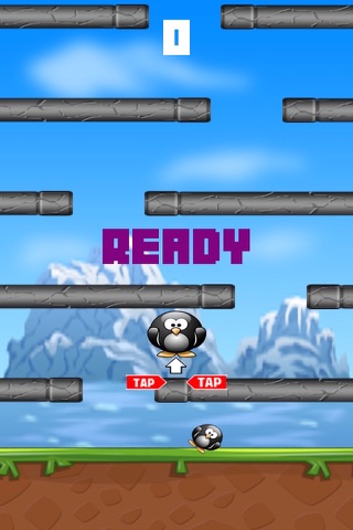Racing Rolling Penguin-Onetouch Flying and running Penguin Game  Free screenshot 2