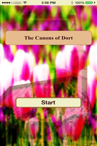 The Canons of Dort screenshot 2