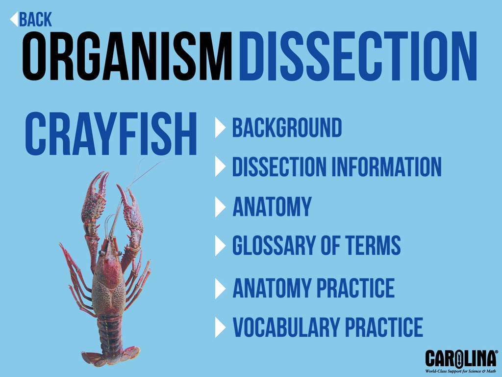Organism Dissection screenshot 2