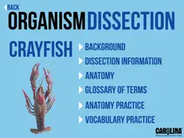 Game screenshot Organism Dissection apk