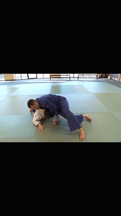 Brazilian Jiu Jitsu: Brown Belt Requirements screenshot-4