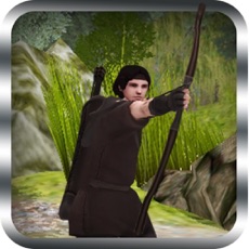 Activities of Bow Arrow Animal Quest