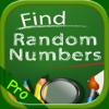 Number Mysteries - Find The Random Number