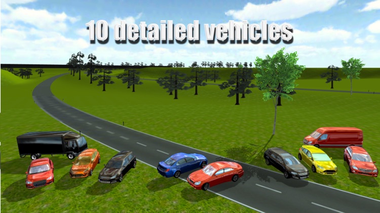 Driving Simulator 2014 screenshot-3