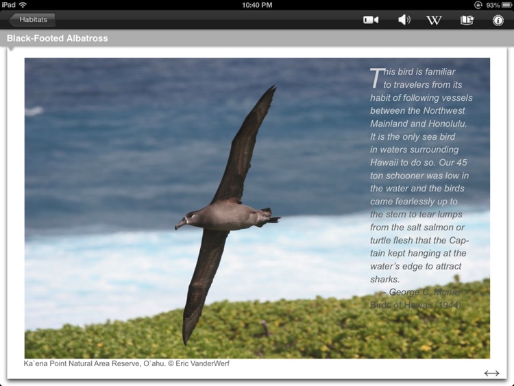 Bird ID Hawaii for iPad screenshot-4