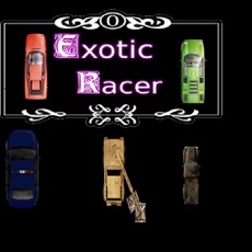 Activities of Exotic Racer