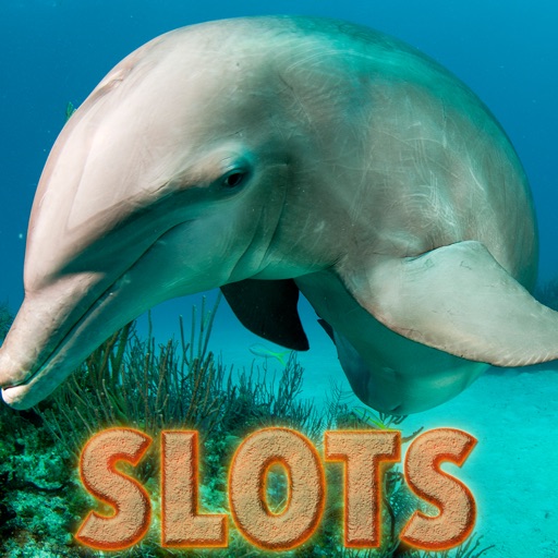 Wild Dolphins Slots - FREE Amazing Las Vegas Casino Games Premium Edition icon