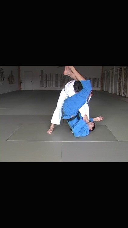 Brazilian Jiu Jitsu: Blue Belt Requirements screenshot-3