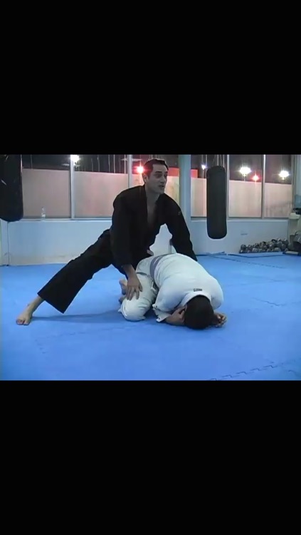 Brazilian Jiu Jitsu: Purple Belt Requirements