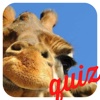 A Guess the Close Up Pics Trivia Quiz - Ultimate Word Heroes Random Puzzle Game - Free App