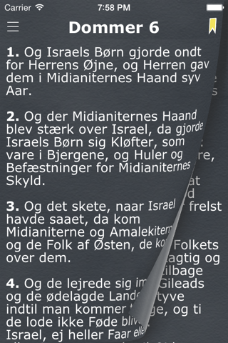 Danske Bibel (Holy Bible in Danish) screenshot 4